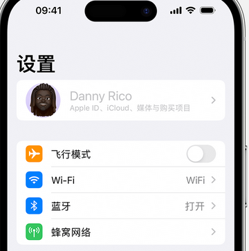 扶风appleID维修服务iPhone设置中Apple ID显示为灰色无法使用