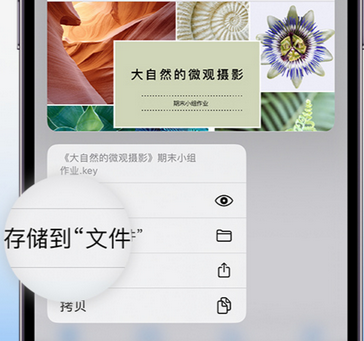 扶风apple维修中心分享iPhone文件应用中存储和找到下载文件