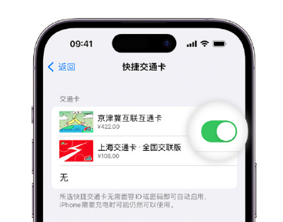 扶风apple维修点分享iPhone上更换Apple Pay快捷交通卡手绘卡面 