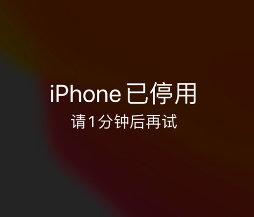 扶风苹果手机维修分享:iPhone 显示“不可用”或“已停用”怎么办？还能保留数据吗？ 