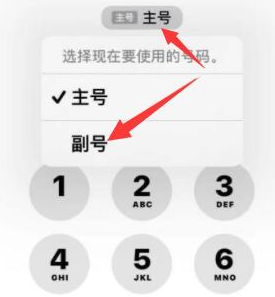 扶风苹果14维修店分享iPhone 14 Pro Max使用副卡打电话的方法 