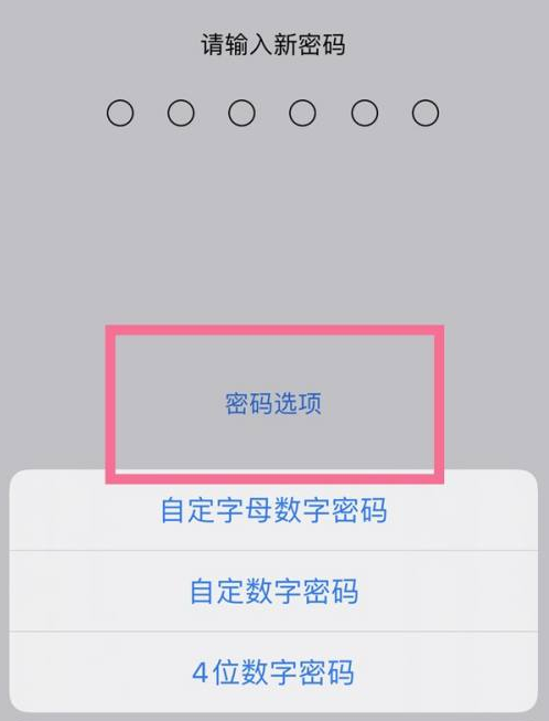 扶风苹果14维修分享iPhone 14plus设置密码的方法 