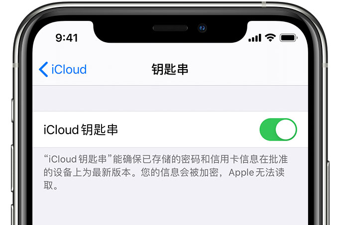 扶风苹果手机维修分享在 iPhone 上开启 iCloud 钥匙串之后会储存哪些信息 