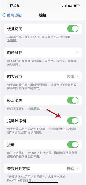 扶风苹果手机维修分享iPhone手机如何设置摇一摇删除文字 